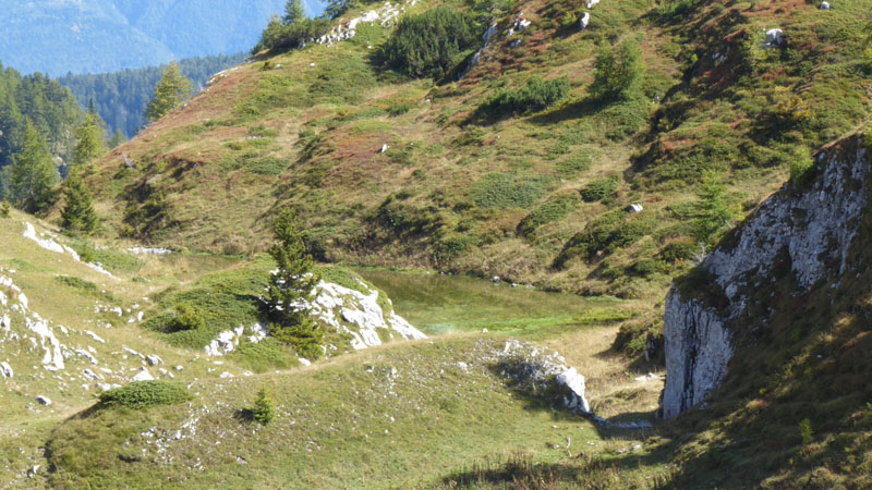 Laghi.......del TRENTINO